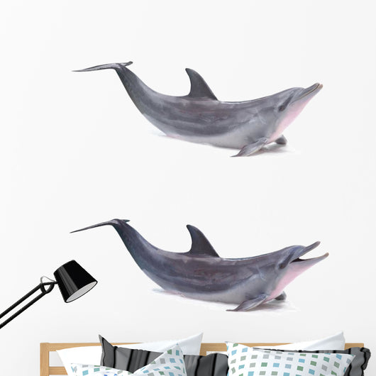 Two Dolphins Breached Wall Decal