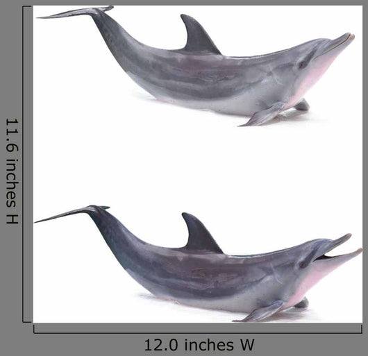 Two Dolphins Breached Wall Decal