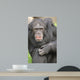 Ape Wall Mural