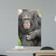 Ape Wall Mural