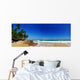 Tropical Paradise