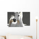 White Horse Wall Mural