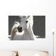 White Horse Wall Mural