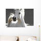 White Horse Wall Mural
