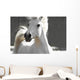 White Horse Wall Mural