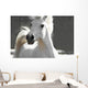 White Horse Wall Mural