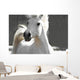 White Horse Wall Mural