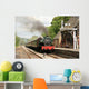 Steam Train Wall Mural