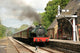 Steam Train Wall Mural