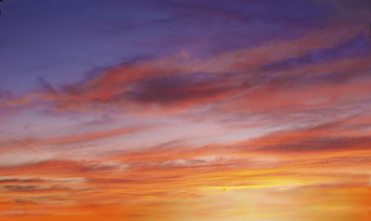Brilliant Purple Orange Sunset Wall Decal