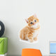 British Shorthair Kitten Cat Isolated Wall Decal