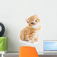 British Shorthair Kitten Cat Isolated Wall Decal