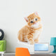 British Shorthair Kitten Cat Isolated Wall Decal