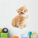 British Shorthair Kitten Cat Isolated Wall Decal