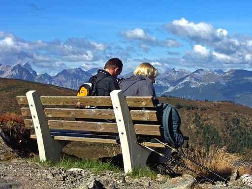 Beautiful Picnic Area Wall Decal