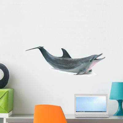 Dolphin Breach 1Wall Decal shown on a wall