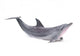 Dolphin Wall Decal