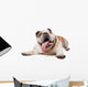 English Bulldog Wall Decal