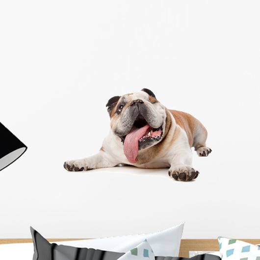 English Bulldog Wall Decal