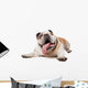 English Bulldog Wall Decal