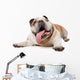 English Bulldog Wall Decal