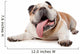 English Bulldog Wall Decal
