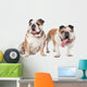 two English bulldogs Wall Decal