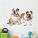 two English bulldogs Wall Decal