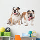 two English bulldogs Wall Decal