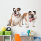 two English bulldogs Wall Decal