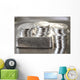 Investment Real Silver Coins