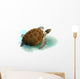 Sea Turtle Swimming Ocean