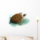 Sea Turtle Swimming Ocean