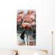 Portrait of the American Flamingo. Wall Mural