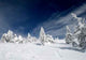 Winter Kingdom Wall Decal