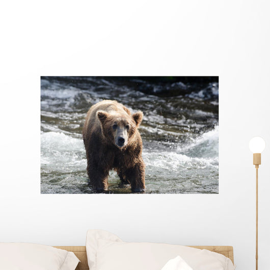 Large Grizzly Bear Standing Wall Mural