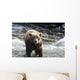 Large Grizzly Bear Standing Wall Mural