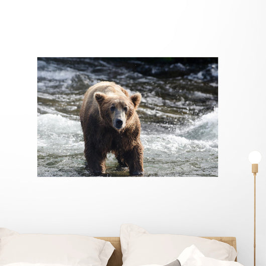 Large Grizzly Bear Standing Wall Mural