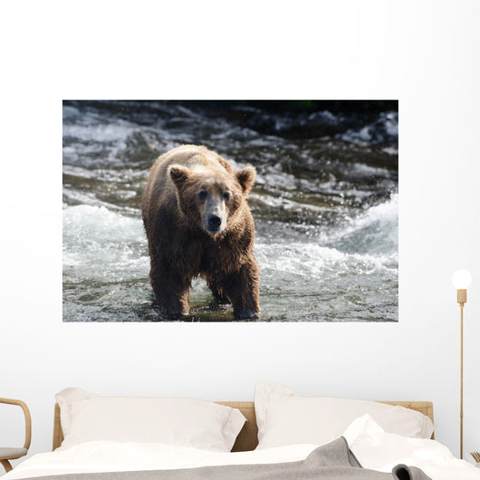 Large Grizzly Bear Standing Wall Mural