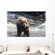 Large Grizzly Bear Standing Wall Mural
