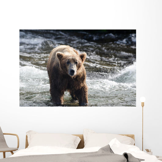 Large Grizzly Bear Standing Wall Mural