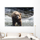 Large Grizzly Bear Standing Wall Mural
