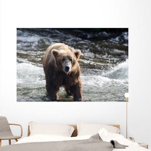 Large Grizzly Bear Standing Wall Mural