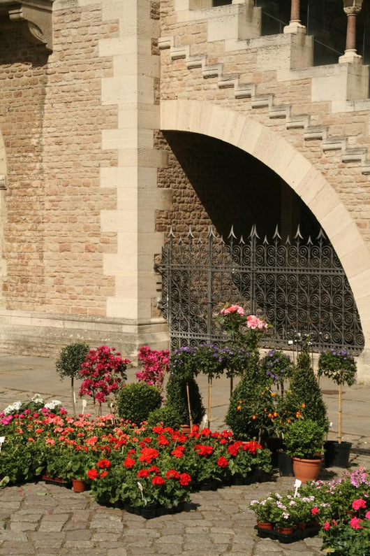 Blumenmarkt Vor Der Kirche Wall Mural