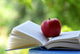 Red Apple Book