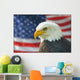 Americana Murals - Bald Eagle Flag American Eagle with Flag Wall Mural