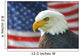 Americana Murals - Bald Eagle Flag American Eagle with Flag Wall Mural