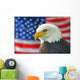 Bald Eagle American Flag