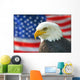 Bald Eagle American Flag