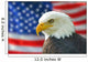 Bald Eagle American Flag